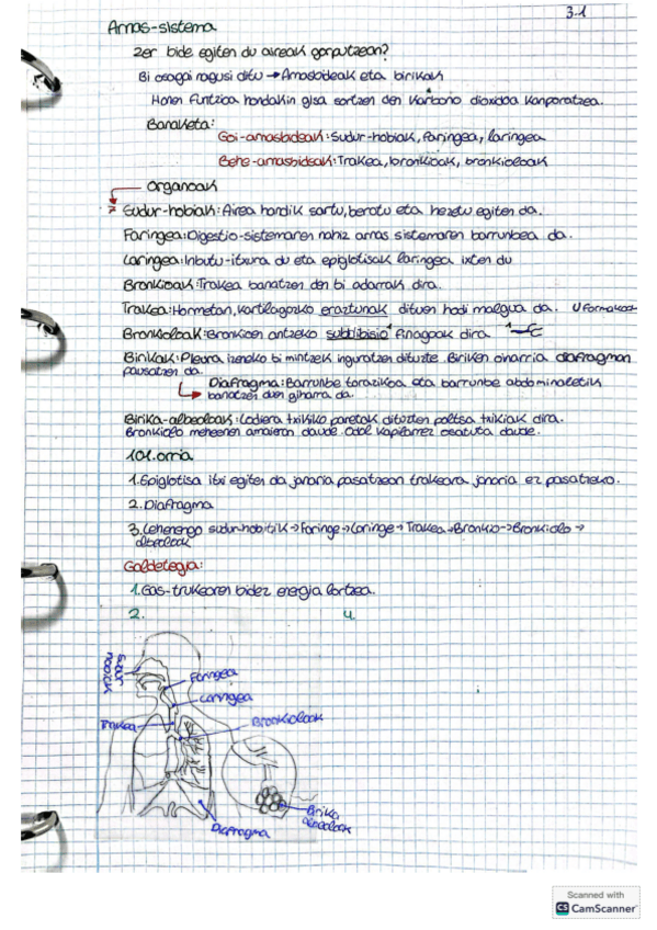 Miniatura del documento Bio-3ESO-euskaraz-arnas-sistemanola-trukatzen-diren-gasak-zirkulazio-sistemaGiza-zirkulazio-sistema.pdf