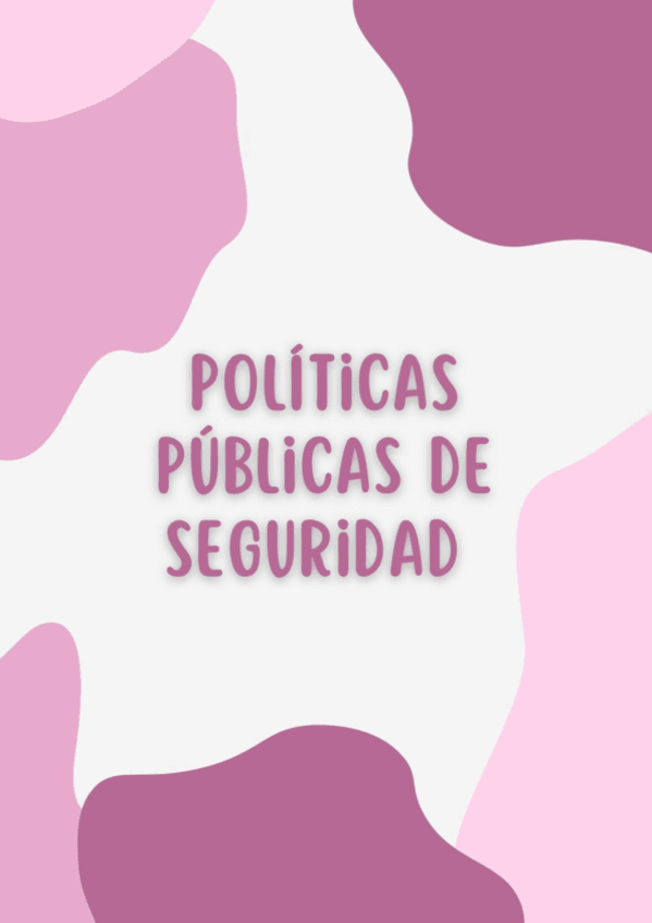Miniatura del documento POLITICAS-PUBLICAS-1.pdf