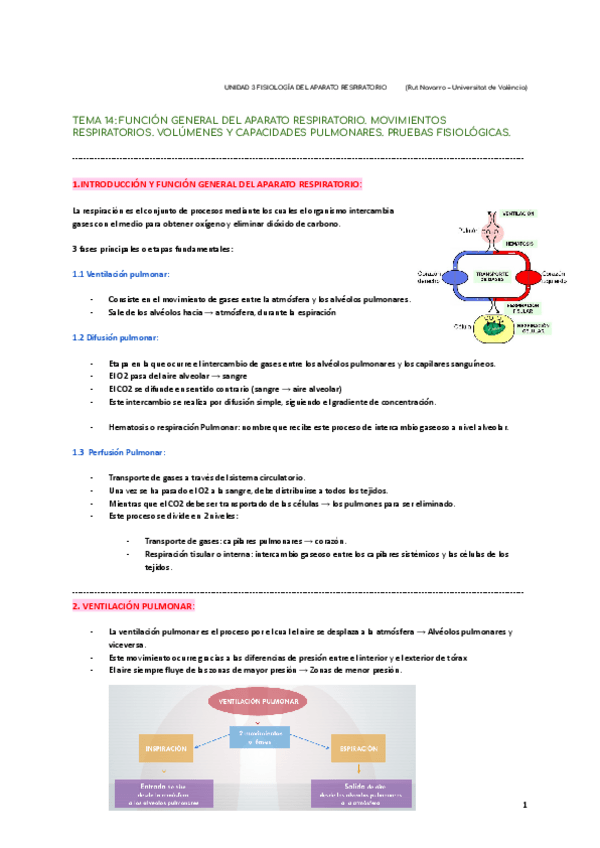 Miniatura del documento APARATO-RESPIRATORIO-I.pdf