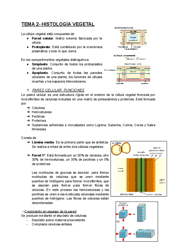 Miniatura del documento TEMA-2-BCH-I.pdf