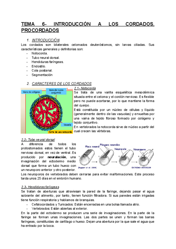 Miniatura del documento TEMA-6-ZOOLOGIA-I.pdf
