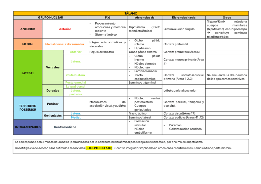 Miniatura del documento Grupos-nucleares-diencefalo.pdf