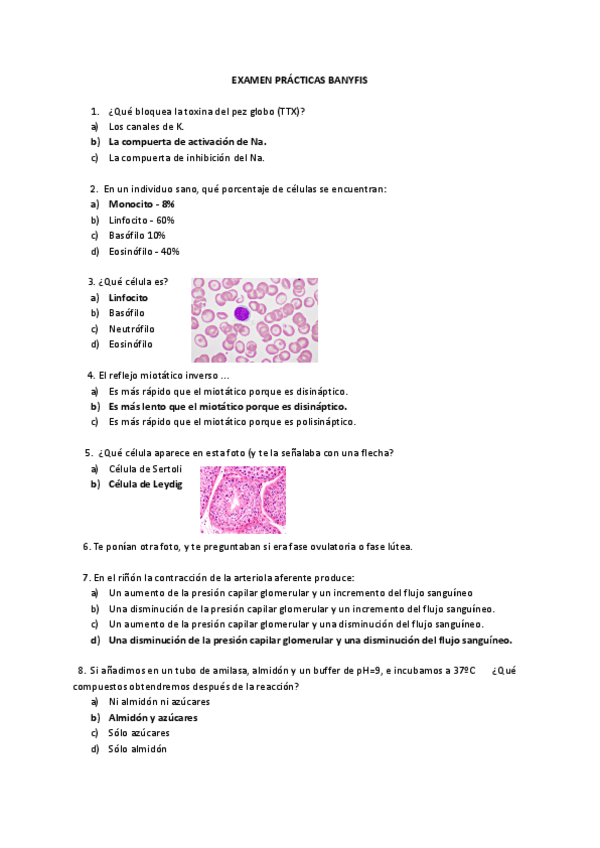 Miniatura del documento EXAMEN-PRACTICAS-BANYFIS.pdf