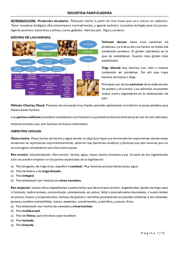 Miniatura del documento INDUSTRIA-PANIFICADORA.pdf