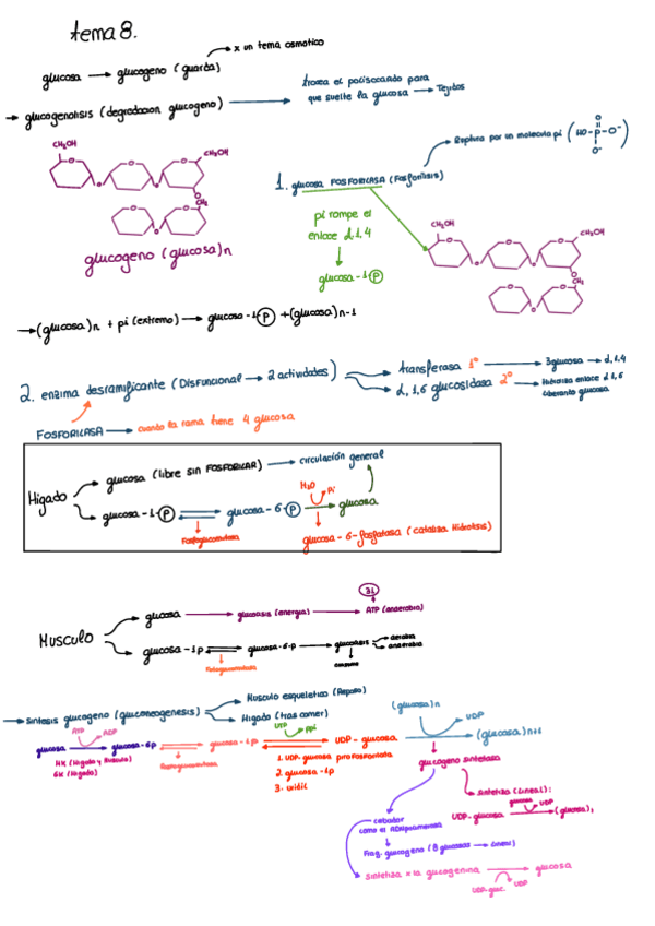 Miniatura del documento TEMA-8.pdf