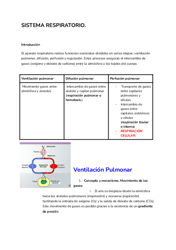 Miniatura del documento SISTEMA-RESPIRATORIO.pdf.pdf