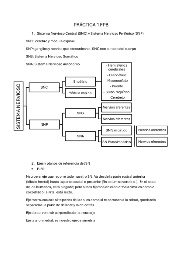 Miniatura del documento Practica-1-FPB.pdf