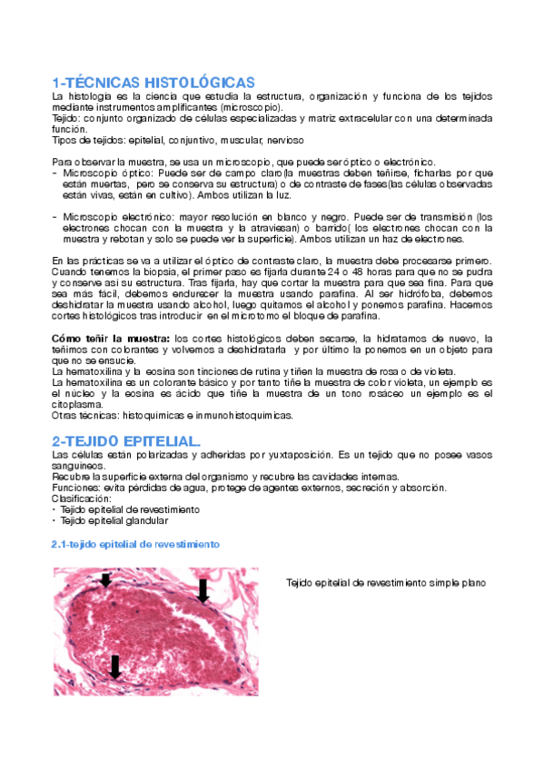 Miniatura del documento Cuaderno-de-practicas-histologia-NOTA-9.pdf