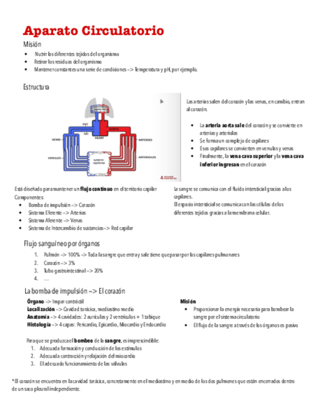 Miniatura del documento Resumen-Del-Aparato-Circulatorio.pdf