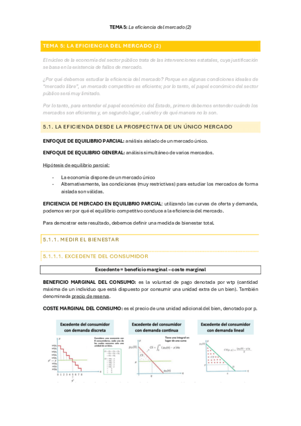 Miniatura del documento TEMA-5-La-eficiencia-del-mercado-2.pdf