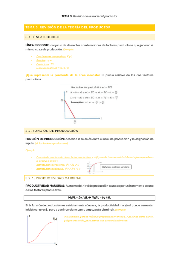 Miniatura del documento TEMA-3-Revision-de-la-teoria-del-productor.pdf