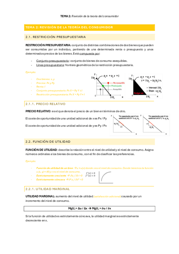 Miniatura del documento TEMA-2-Revision-de-la-teoria-del-consumidor.pdf