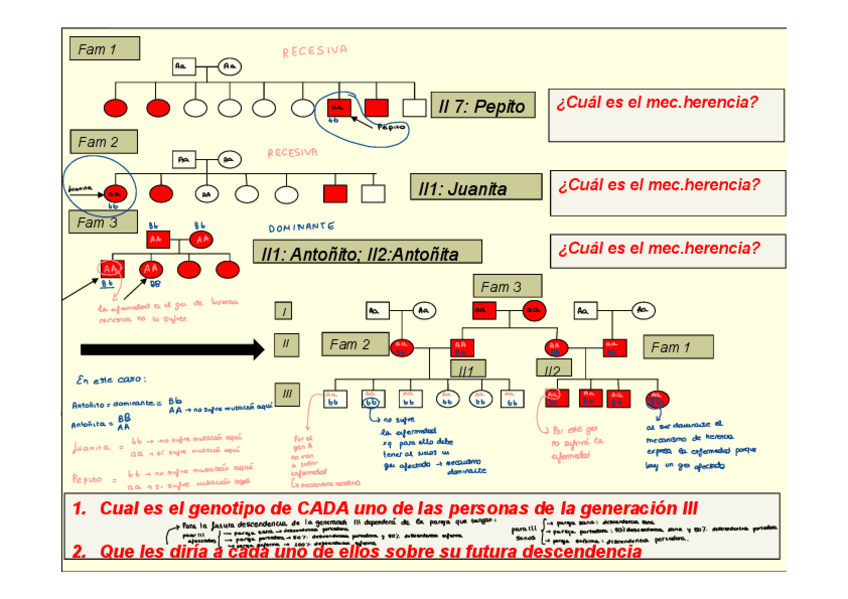 Miniatura del documento Arbol-Genetico.pdf