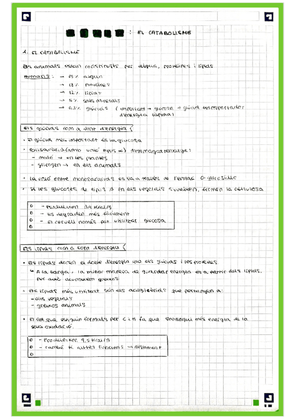 Miniatura del documento TEMA-2-El-catabolisme.pdf