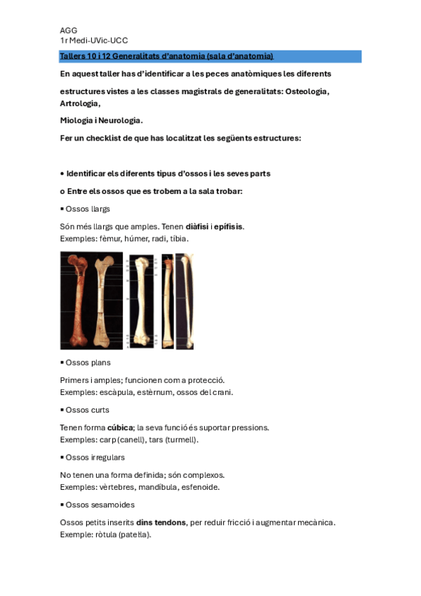 Miniatura del documento Tallers-10-i-12-Generalitats-danatomia.pdf