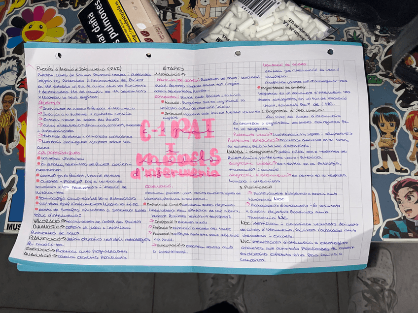 Miniatura del documento IMG0834.jpeg