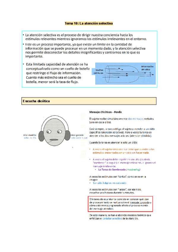 Miniatura del documento Tema-10.-PyA.pdf