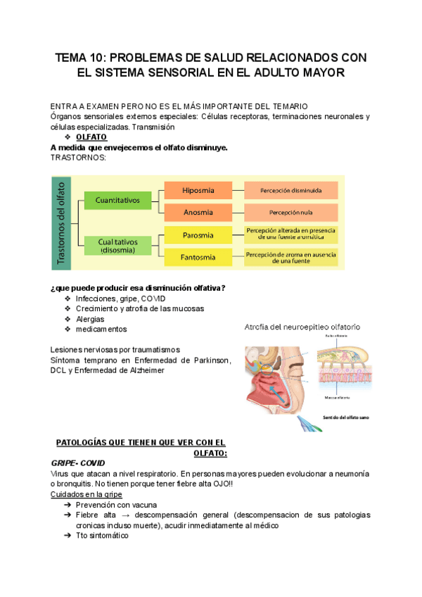 Miniatura del documento TEMA-10-PROBLEMAS-DE-SALUD-EN-EL-SISTEMA-SENSORIAL.pdf