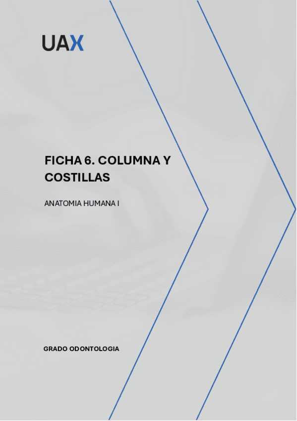 Miniatura del documento FICHA-6-COLUMNA-Y-COSTILLAS-...pdf
