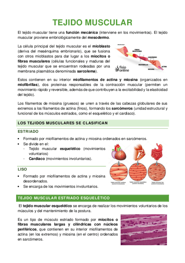 Miniatura del documento TEJIDO-MUSCULAR.pdf