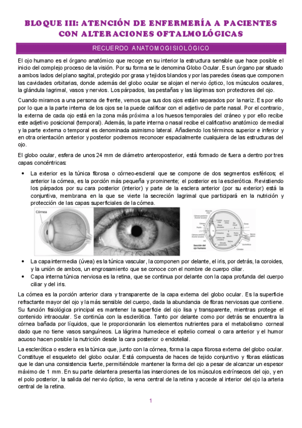 Miniatura del documento Bloque-III.-Atencion-de-enfermeria-a-pacientes-con-alteraciones-oftalmicas.pdf