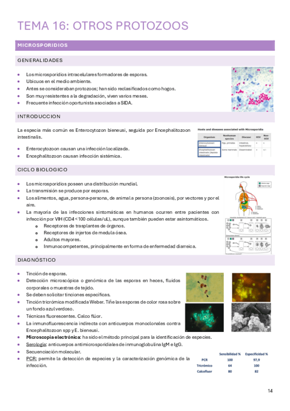 Miniatura del documento tema-16.pdf