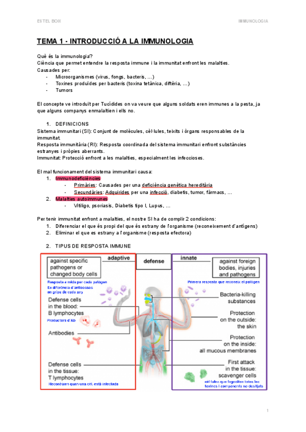 Miniatura del documento T1.-Introduccio-a-la-Immunologia.pdf