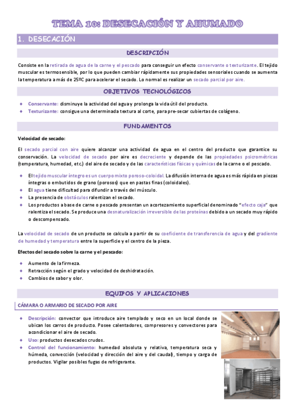 Miniatura del documento TEMA-10.pdf