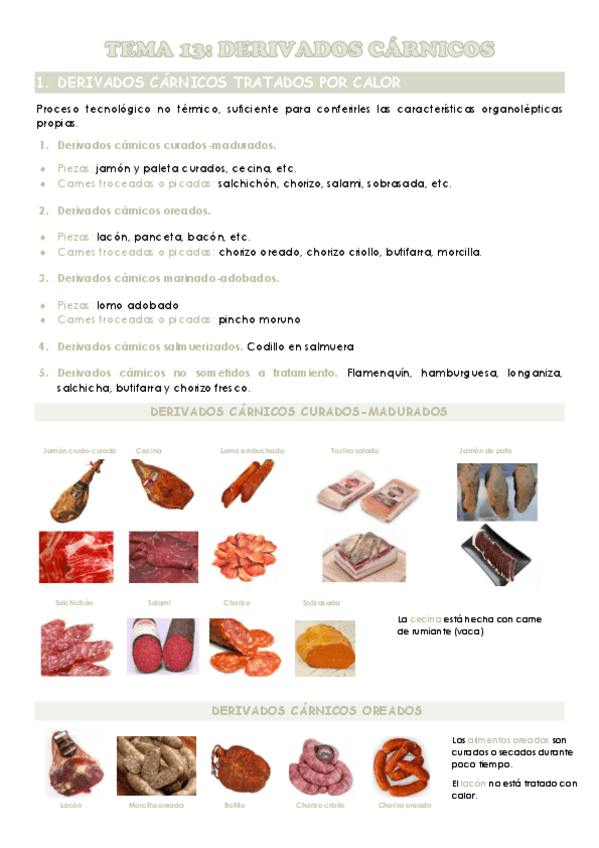 Miniatura del documento TEMA-13.pdf