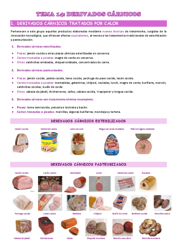 Miniatura del documento TEMA-14.pdf