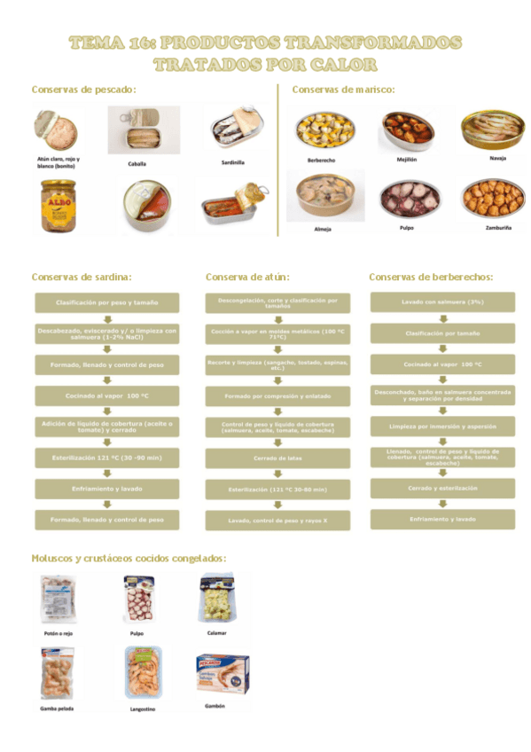Miniatura del documento TEMA-16.pdf