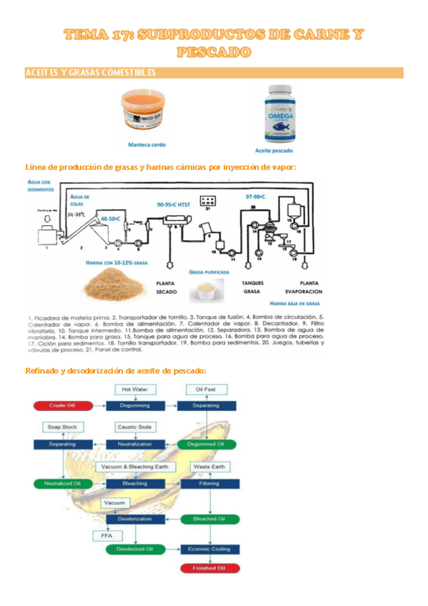 Miniatura del documento TEMA-17.pdf