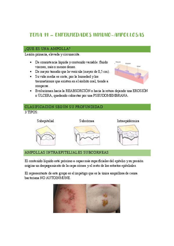 Miniatura del documento TEMA 11 - Año 25/26.pdf.pdf