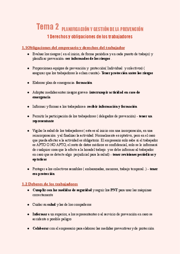 Miniatura del documento IPE-tema-2-planificacion-y-gestion-de-la-prevencion.pdf.pdf