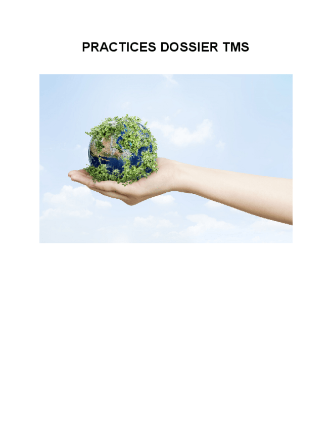 Miniatura del documento TMS-REPORT-DOSSIER-1.pdf