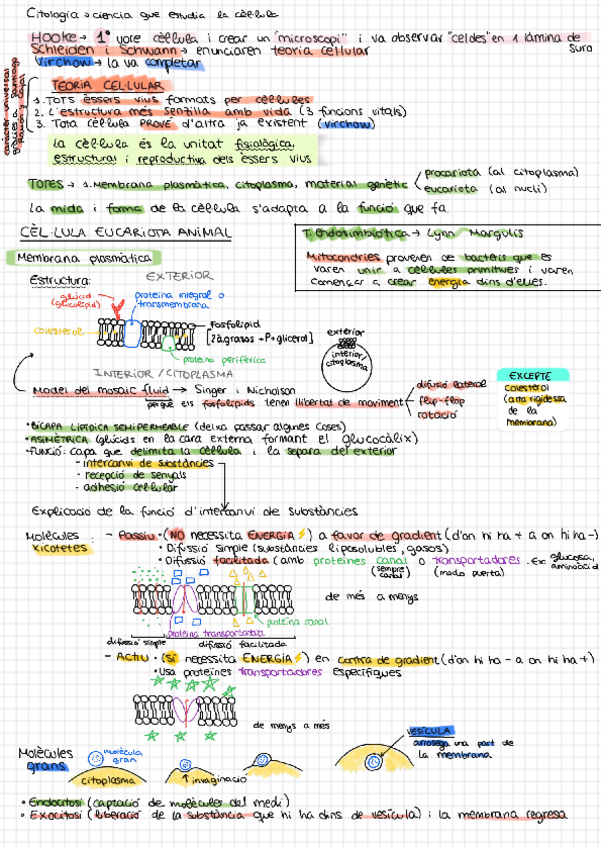 Miniatura del documento LA-CELLULA.pdf