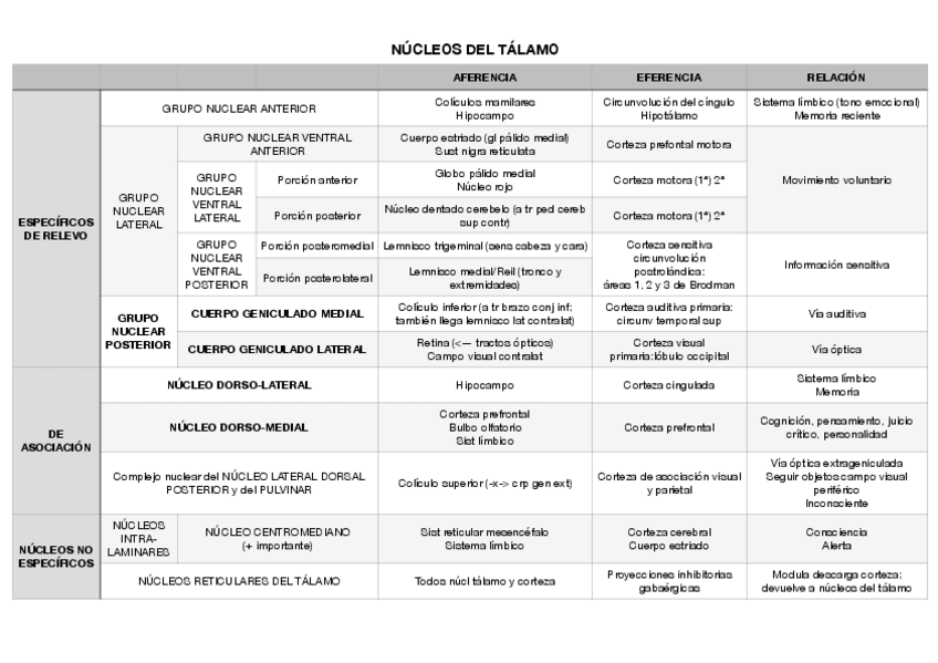Miniatura del documento Nucleos-del-talamo.pdf