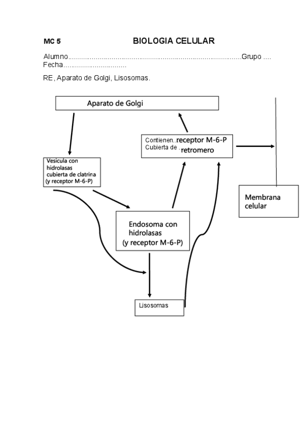 Miniatura del documento MAPA-CONCEPTUAL-5Y6-BIEN.pdf