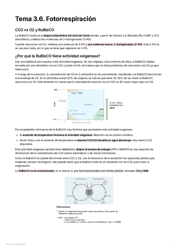 Miniatura del documento Tema-3.6.-Fotorrespiracion.pdf