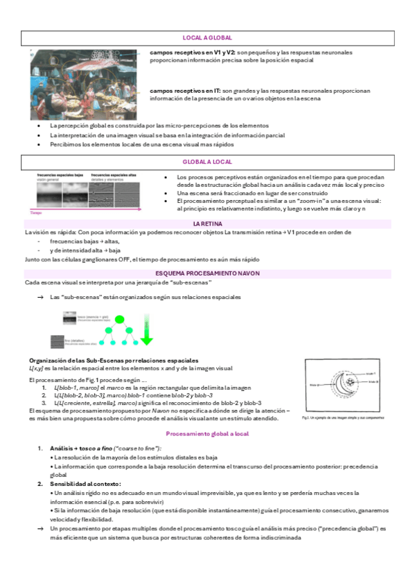 Miniatura del documento Practica-1-percepcion-visual-Navon.pdf