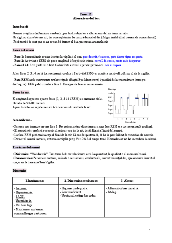 Miniatura del documento T12Alteracions-del-Son.pdf