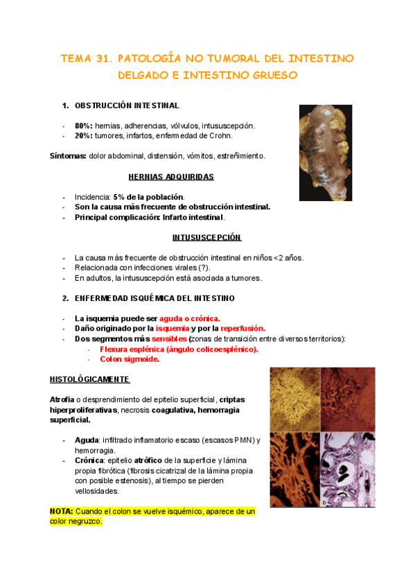 Miniatura del documento Tema-31.pdf