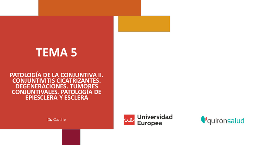 Miniatura del documento 5.-Conjuntiva-II-No-Infecciosa-y-Escleritis.pdf