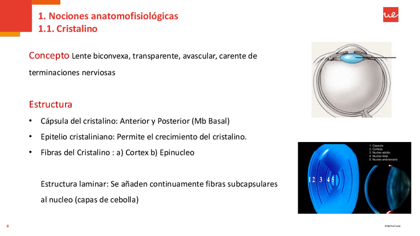 Miniatura del documento 10.-Catarata.pdf
