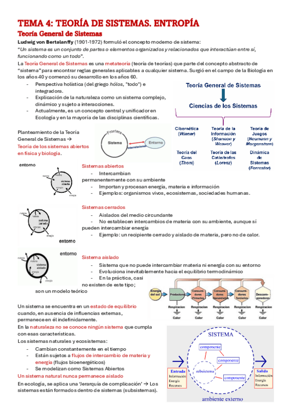 Miniatura del documento Tema-4.pdf
