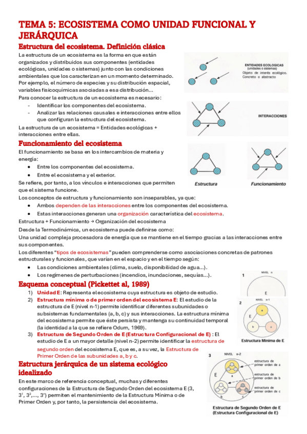 Miniatura del documento Tema-5.pdf
