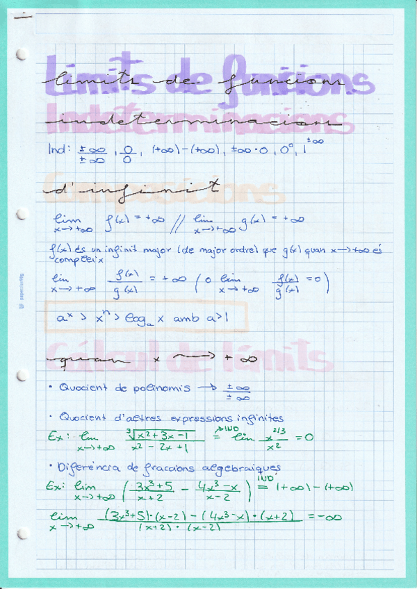 Miniatura del documento apunts-limits.pdf