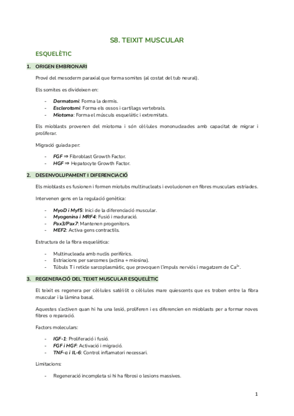 Miniatura del documento S8.-Teixit-muscular.pdf