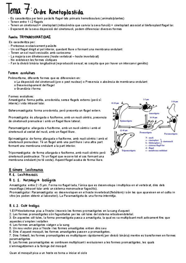 Miniatura del documento Tema-7.pdf