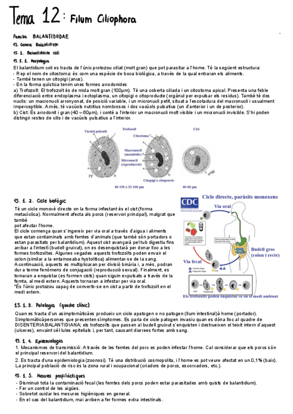 Miniatura del documento Tema-12.pdf